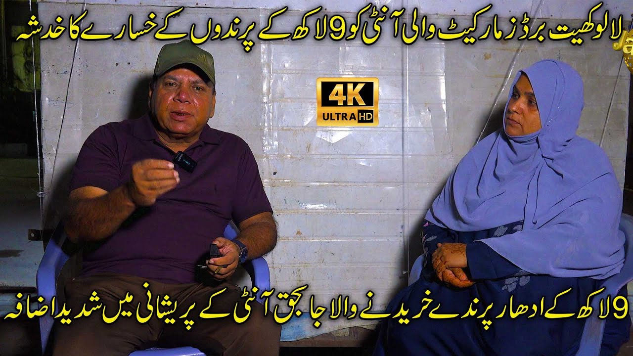 9 lakh Parrots are likely to die Adding to Aunty worries |  آنٹی کو 9 لاکھ کے طوطو کے پیسے نہ مل سکے