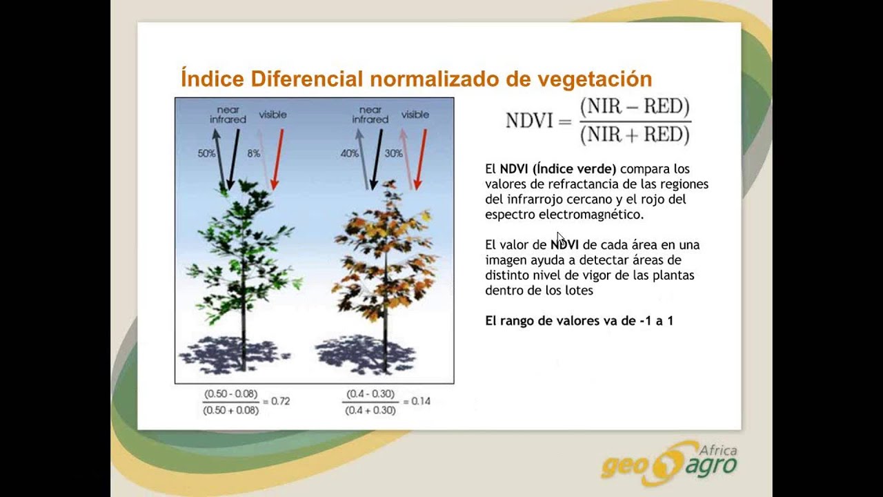 Sensores remotos - Conceptos básicos