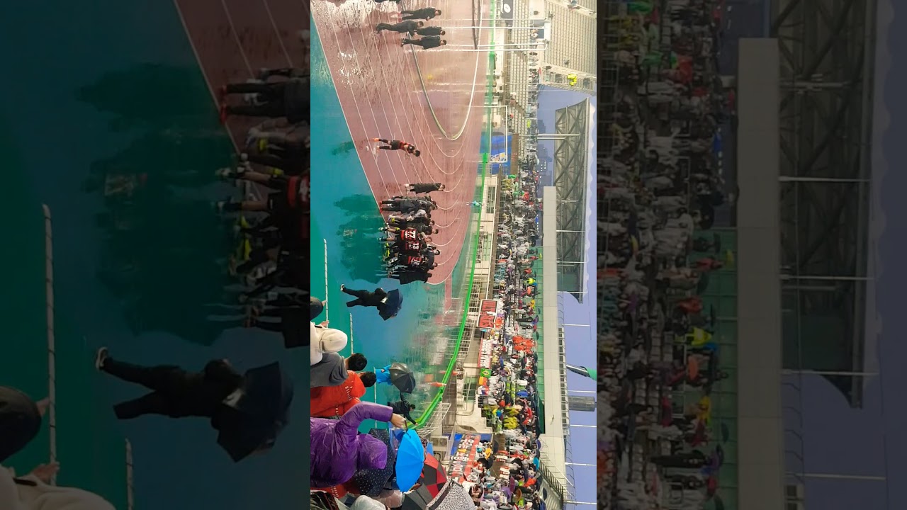 20191201 울산현대 1 VS 4 포항스틸러스  / 울산 준우승 시킨 포항팬들의 안티콜🖤❤️