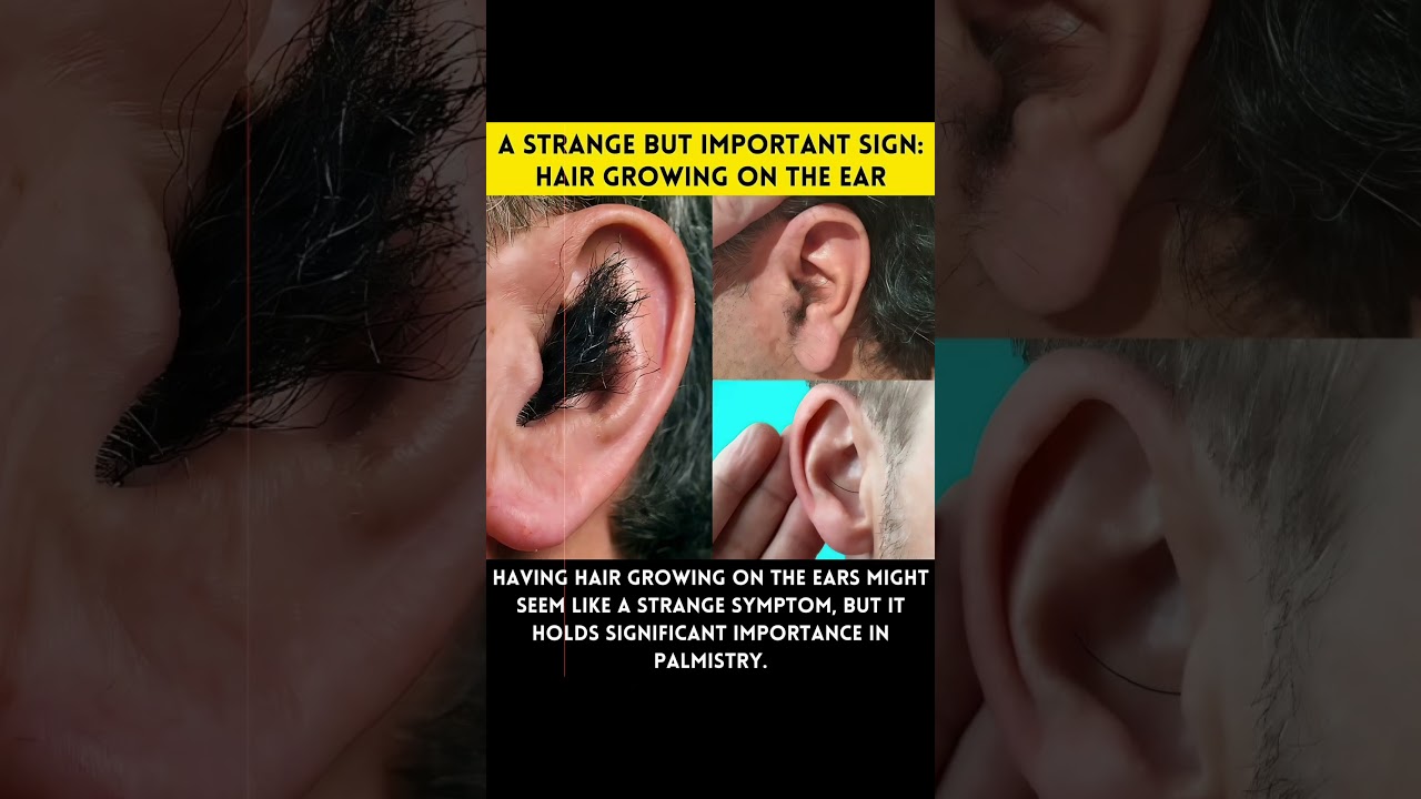 HAVING HAIR GROWING ON THE EARS MIGHT SEEM LIKE A STRANGE