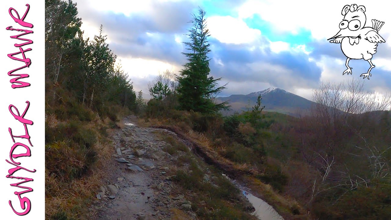 Gwydir Mawr (Marin) Trail - A Trail Centre that I actually like