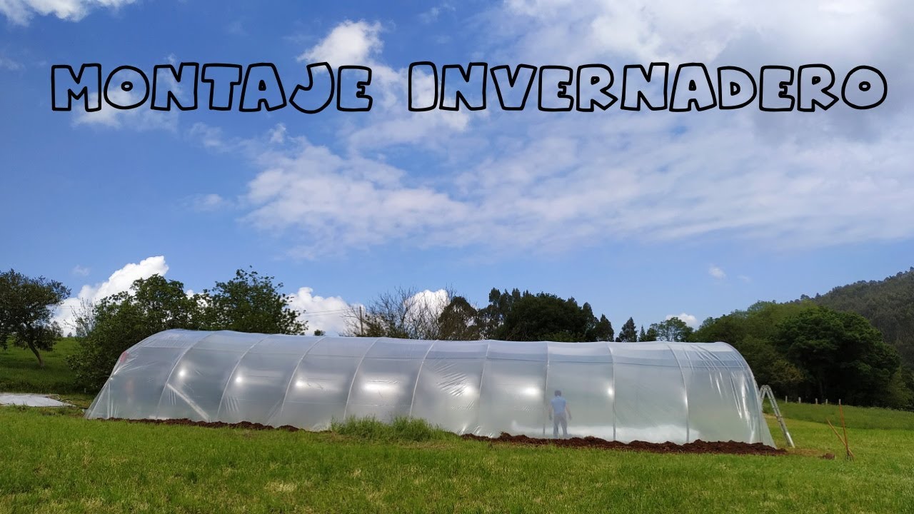 Como hacer un invernadero de túnel , invernaderos baratos #invernaderos