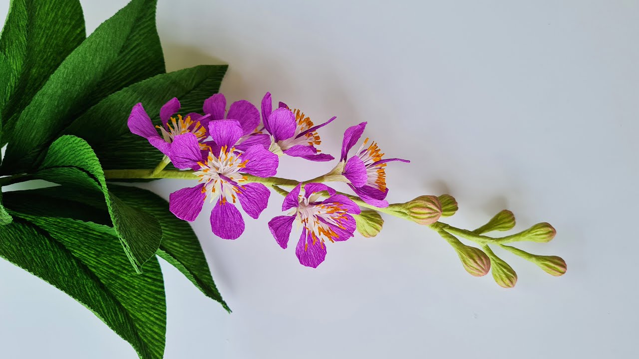 How To Make Queen’s Crape Myrtle Paper Flower / Paper Flower / Góc nhỏ Handmade