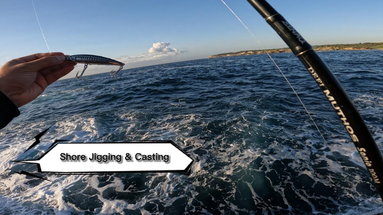 Mac Tuna & Bonito | Sydney rock fishing