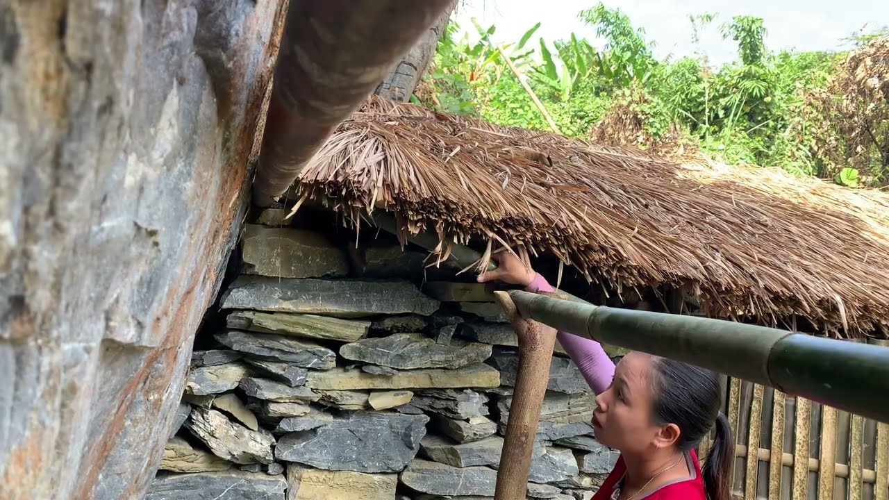 The country girl had finished building the kitchen roof and had gone to look for the forest dweller.