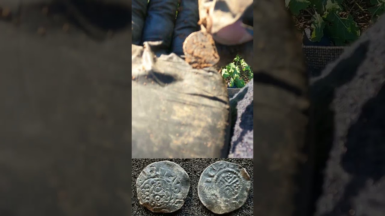 Reveal | Medieval Hammered Coin Found Metal Detecting UK 2024