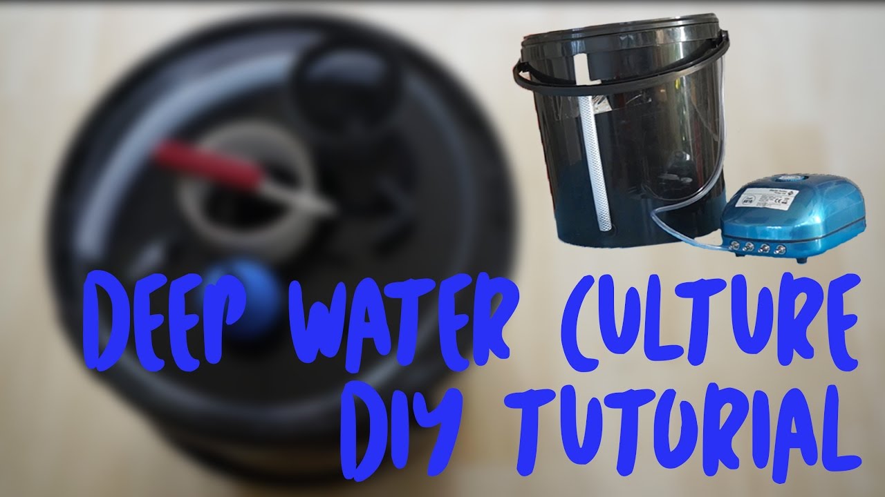 DIY DWC BUCKET TUTORIAL