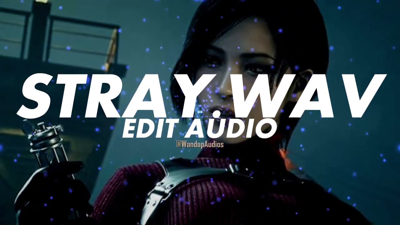 Stray.wav - $uNDOWN [Edit Audio]