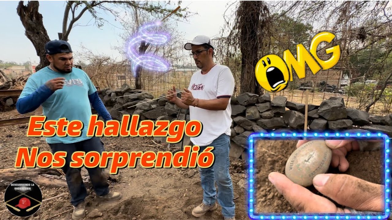 Sorprendente Hallazgo