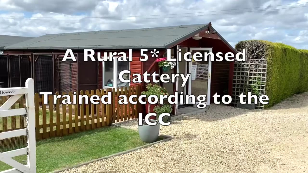Wirtualny spacer po Portway Cattery