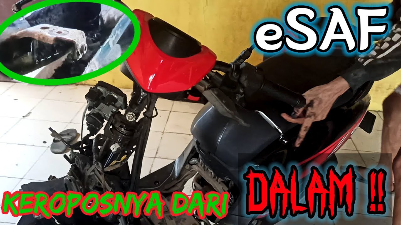 RANGKA eSAF || BONGKAR GENIO 2019, KARAT DI LUAR KEROPOS DARI DALAM.
