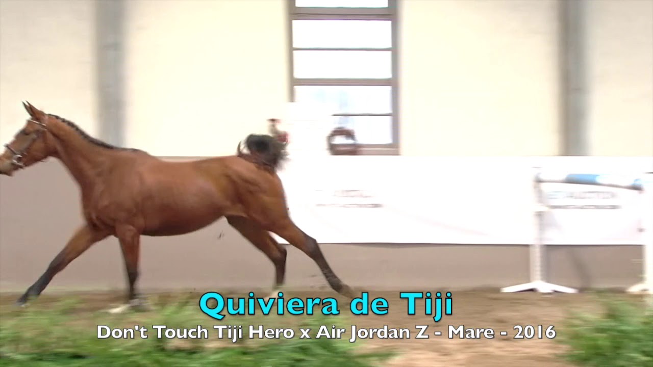 Quiviera de Tiji (Don't Touch Tiji Hero x Air Jordan Z) - Mare - 2016