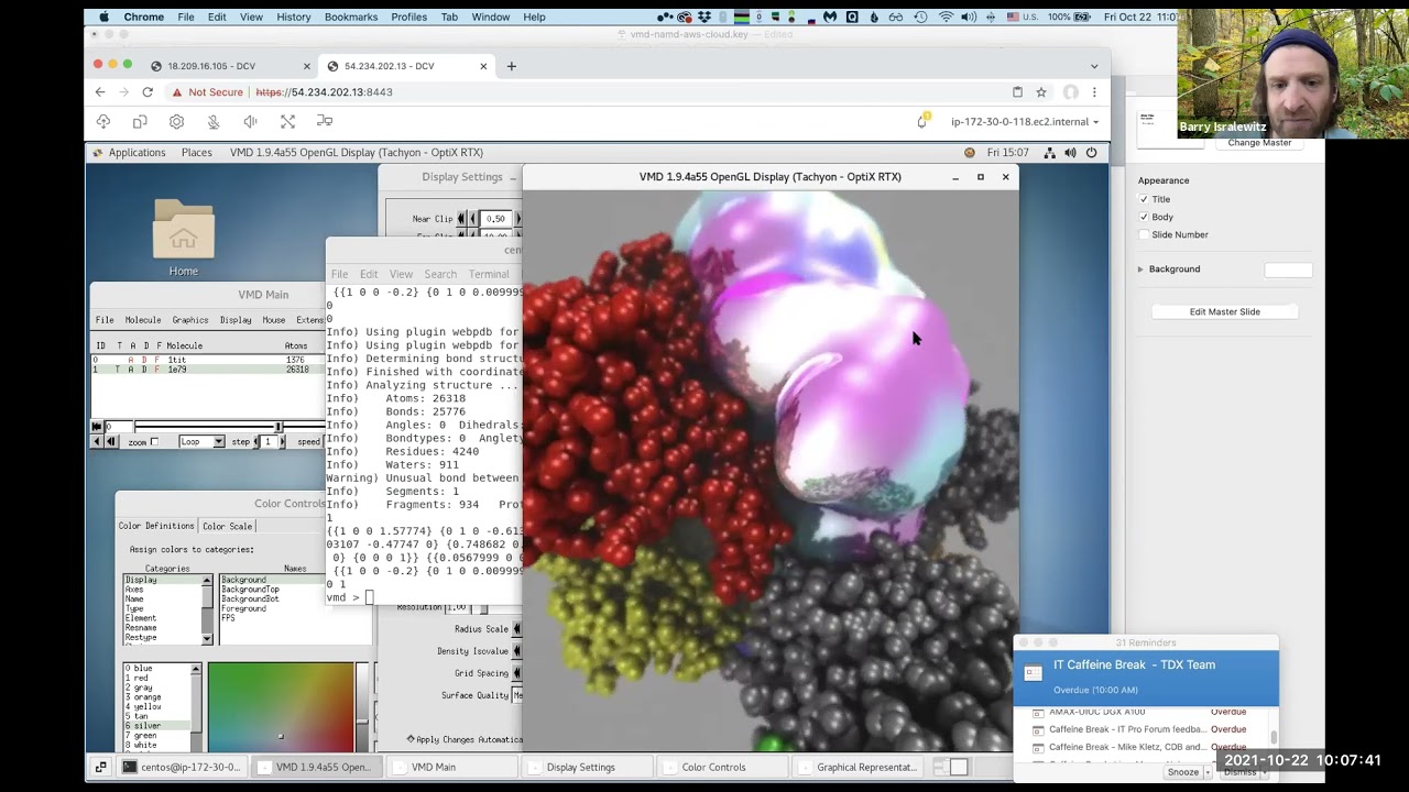 Barry Isralewitz - Using NAMD and VMD in the Cloud