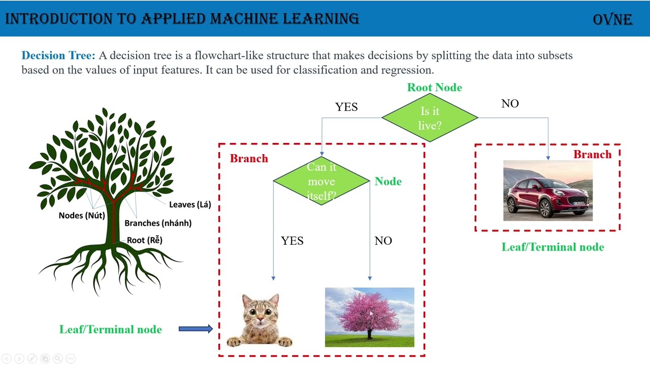 Máy Học Ứng Dụng - Bài 4.  Mô Hình Cây Quyết Định (Decision Tree)