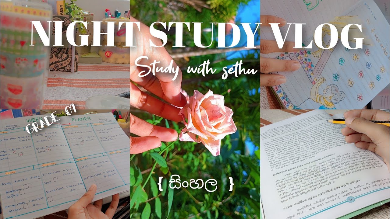 𝐍𝐈𝐆𝐇𝐓 𝐒𝐓𝐔𝐃𝐘 𝐕𝐋𝐎𝐆 🌛 sᴛᴜᴅʏ ᴡɪᴛʜ sᴇᴛʜᴜ  පාඩම් කරන්න සතිය 𝚙𝚕𝚊𝚗 කරමු ද? 💁‍♀️💯 සාර්ථක ක්‍රමයක් 💯✅