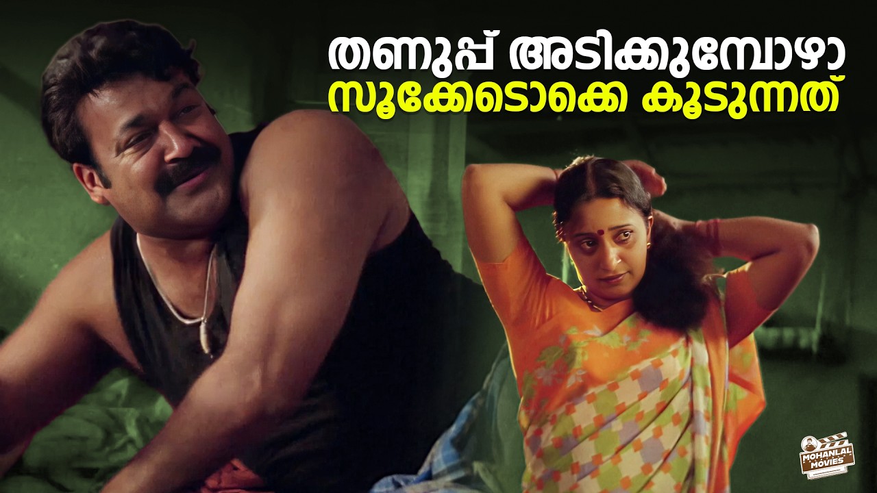 തണുപ്പ് അടിക്കുമ്പോഴാ സൂക്കേടൊക്കെ കൂടുന്നത് | Naran Movie | Mohanlal | Malayalam Movie