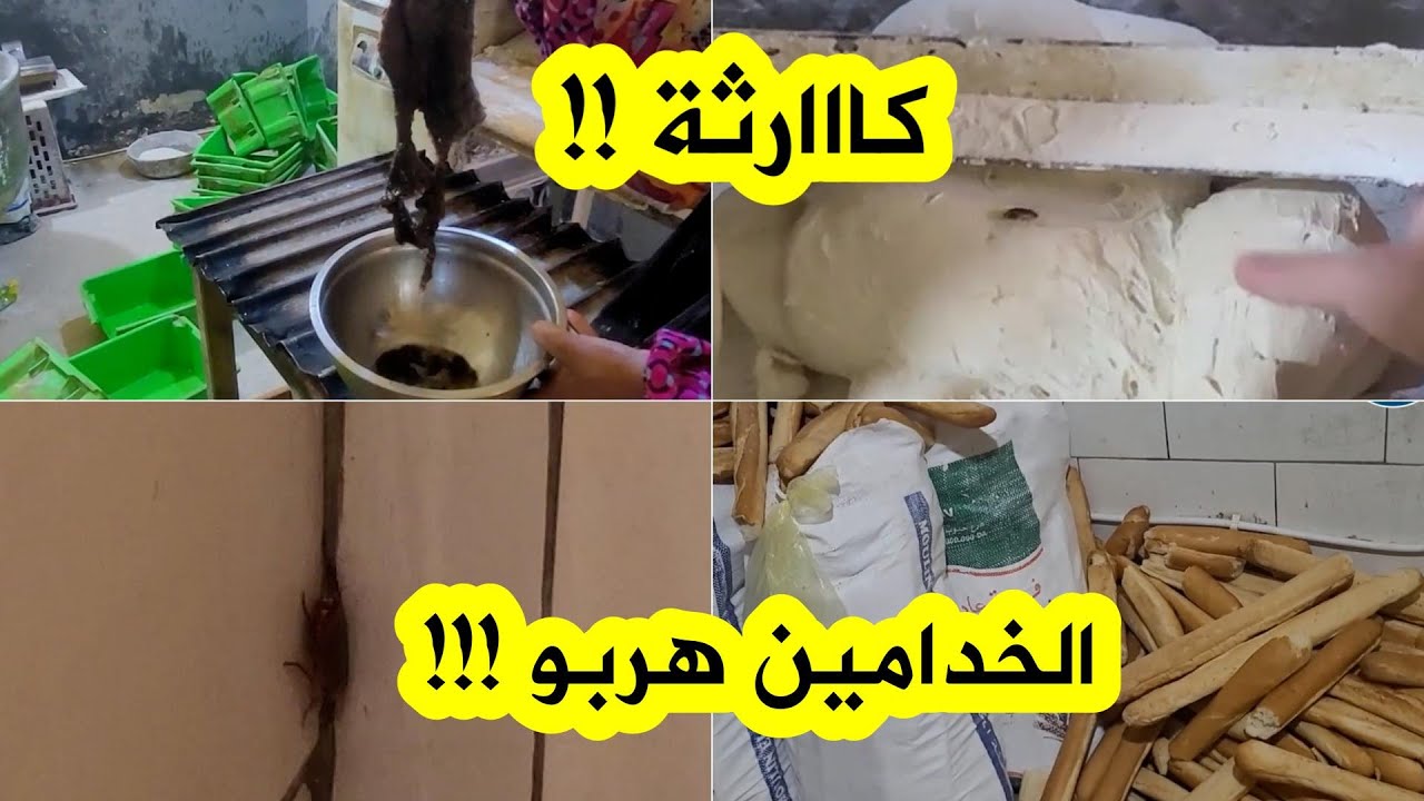 البويرة: حالة كـارثية ! شاهد ماوجده أعوان الرقابة لدى مداهمتهم لمخبزة ! 