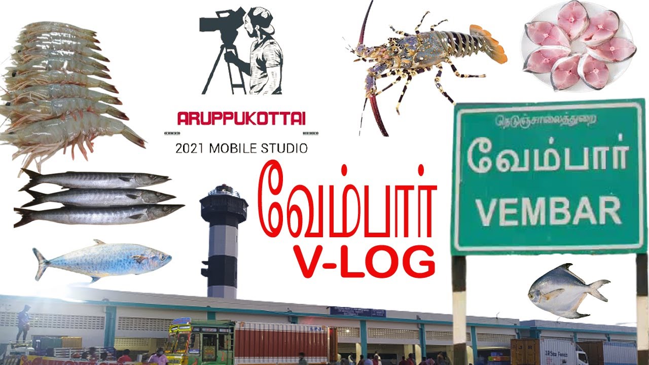 ARUPPUKOTTAI | VEMBAR |அருப்புக்கோட்டையில் இருந்து வேம்பார்க்கு சென்று கடல்மீன் ஏலம் எடுப்பது எப்படி