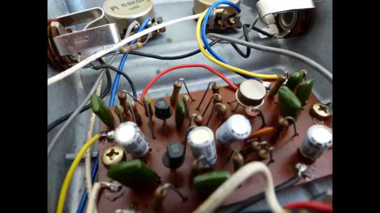 BeeGee Fuzz - Roland