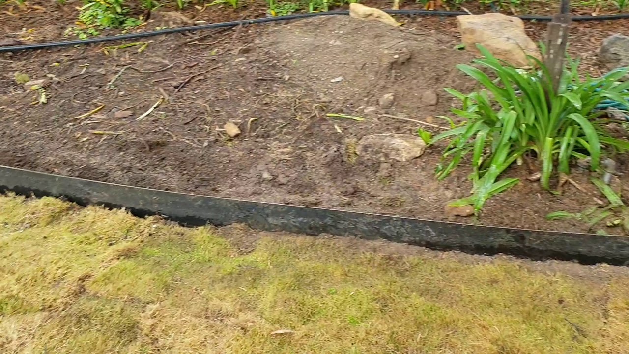 Coreten garden edging seamless edge Leura