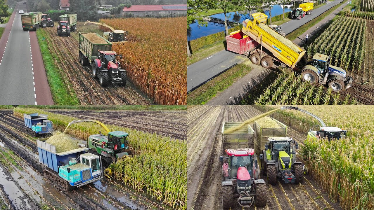 The Best Of Mais Silage 2021 | Mais Hakselen