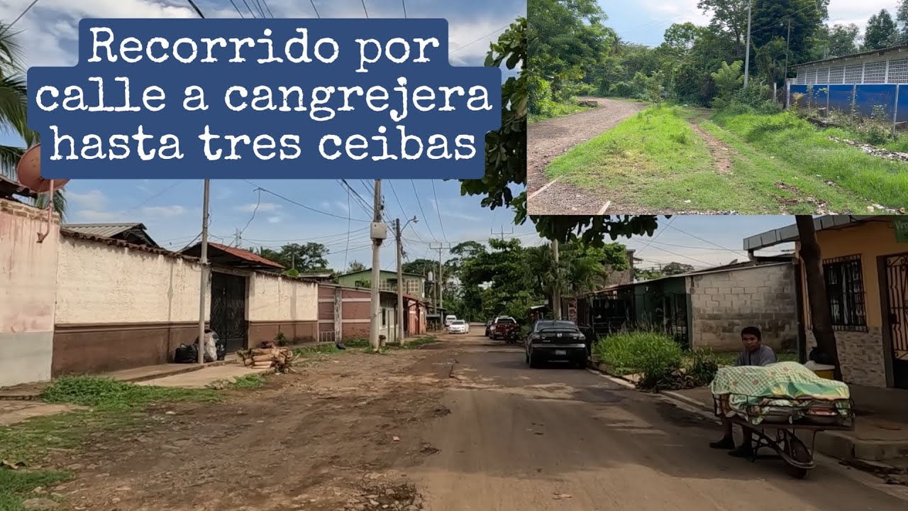Calle a cantón Cangrejera y tres Ceibas