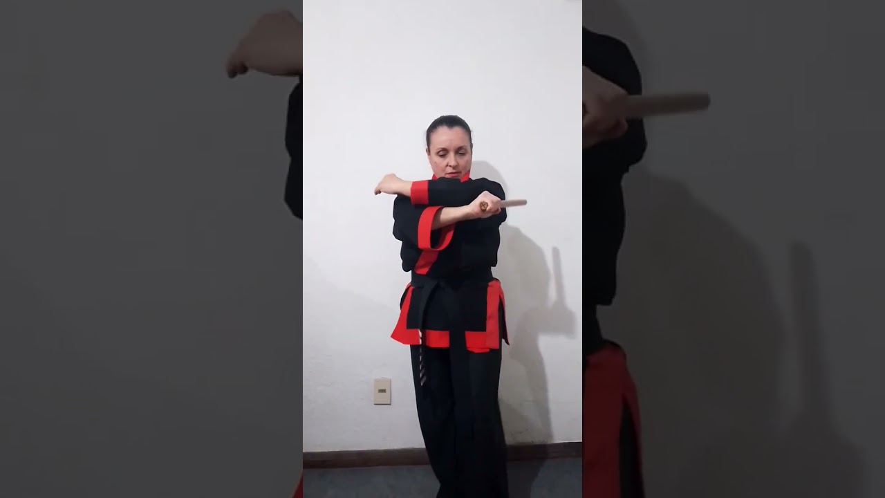 Dan Bong- Puro Sipalki-Do