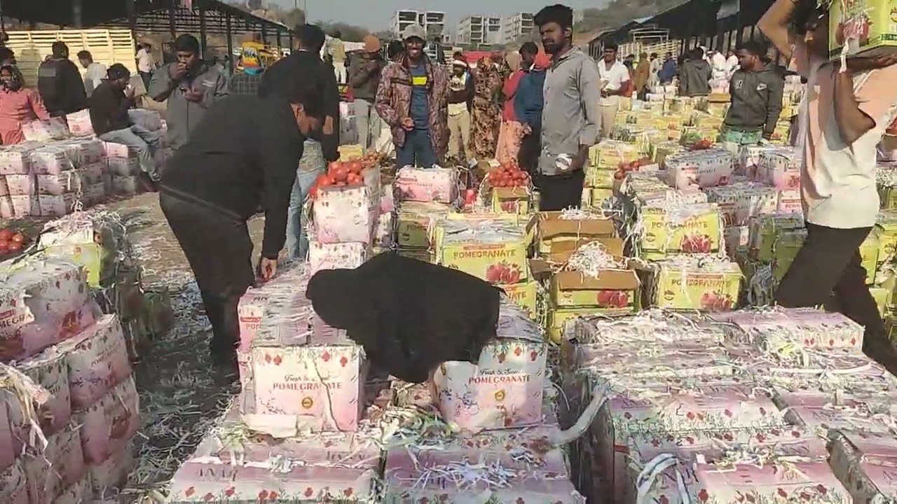 #holsel#anarmarket#batasingram#fruit#video