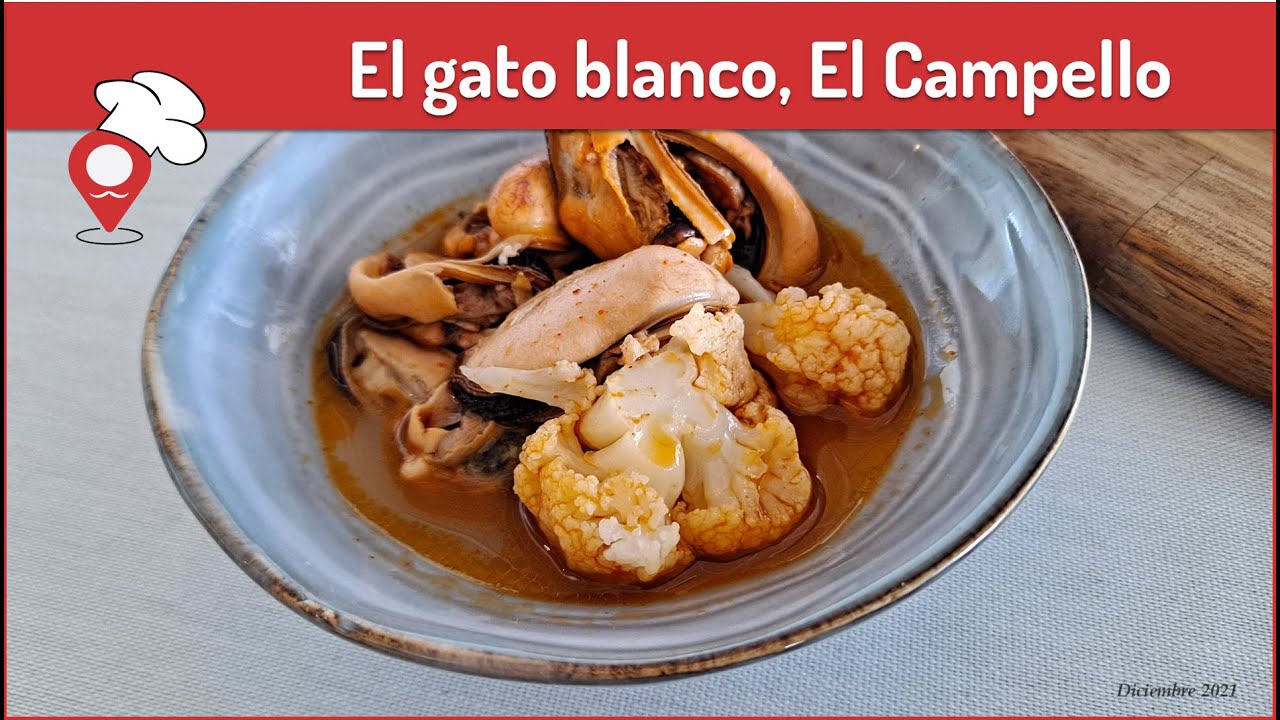 El gato blanco, El Campello, Alicante