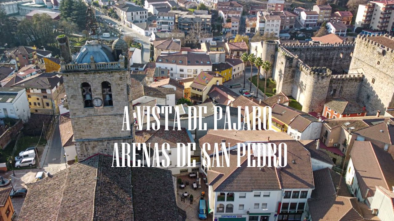 A VISTA DE PAJARO ARENAS DE SAN PEDRO