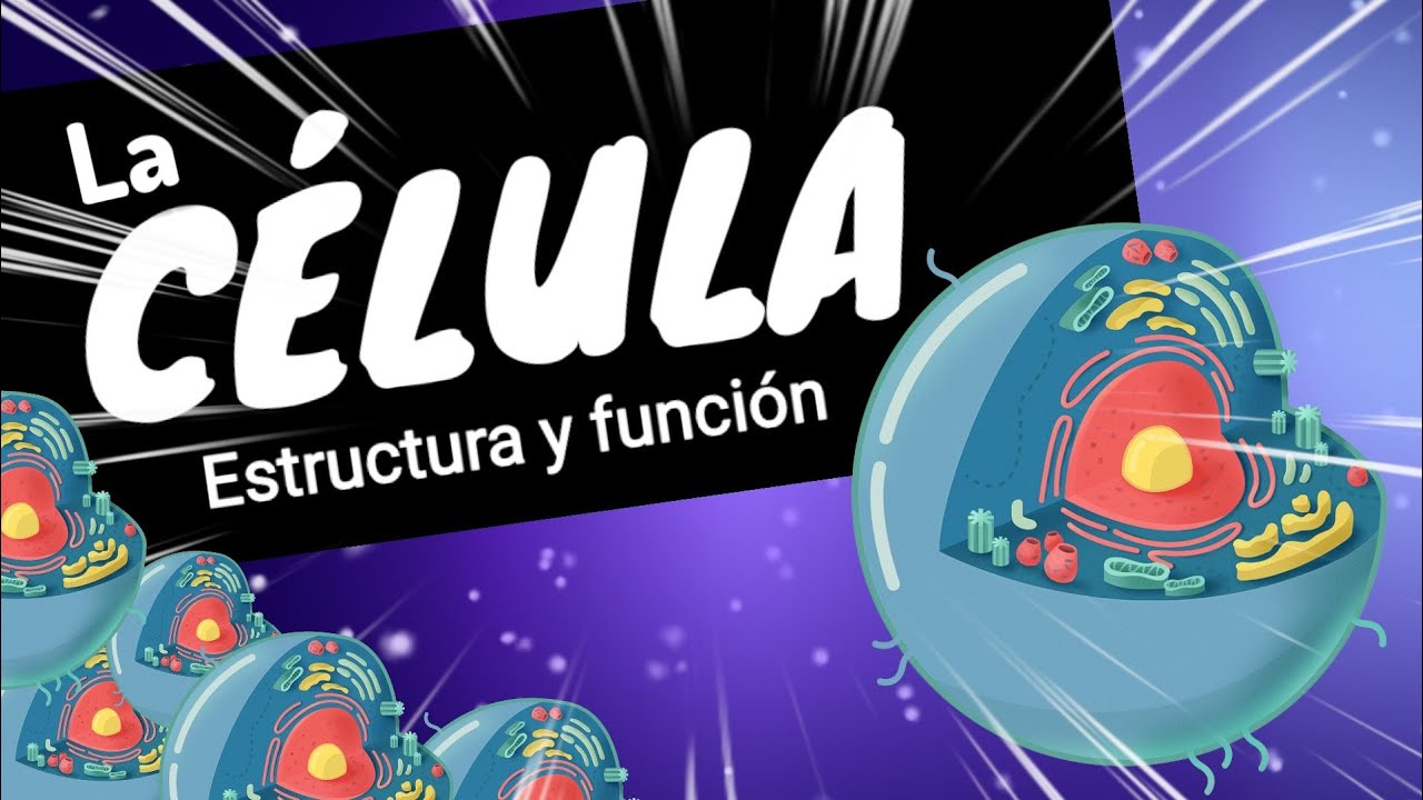 LA CÉLULA ⚡Organelos funciones y estructuras básicas nivel experto en 8 minutos
