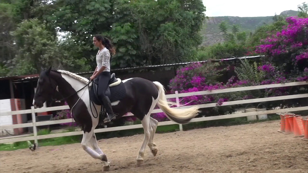 Aranzasu & Elize level 2 FreeStyle Parelli Audition Passed 2++