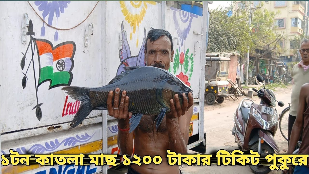 পাশ শুরুর আগে দারুন সাইজের কাতলা মাছ ছাড়া হলো মাত্র ১২০০ টাকার টিকিট পুকুরে🔥 #fishing #fishingvideo
