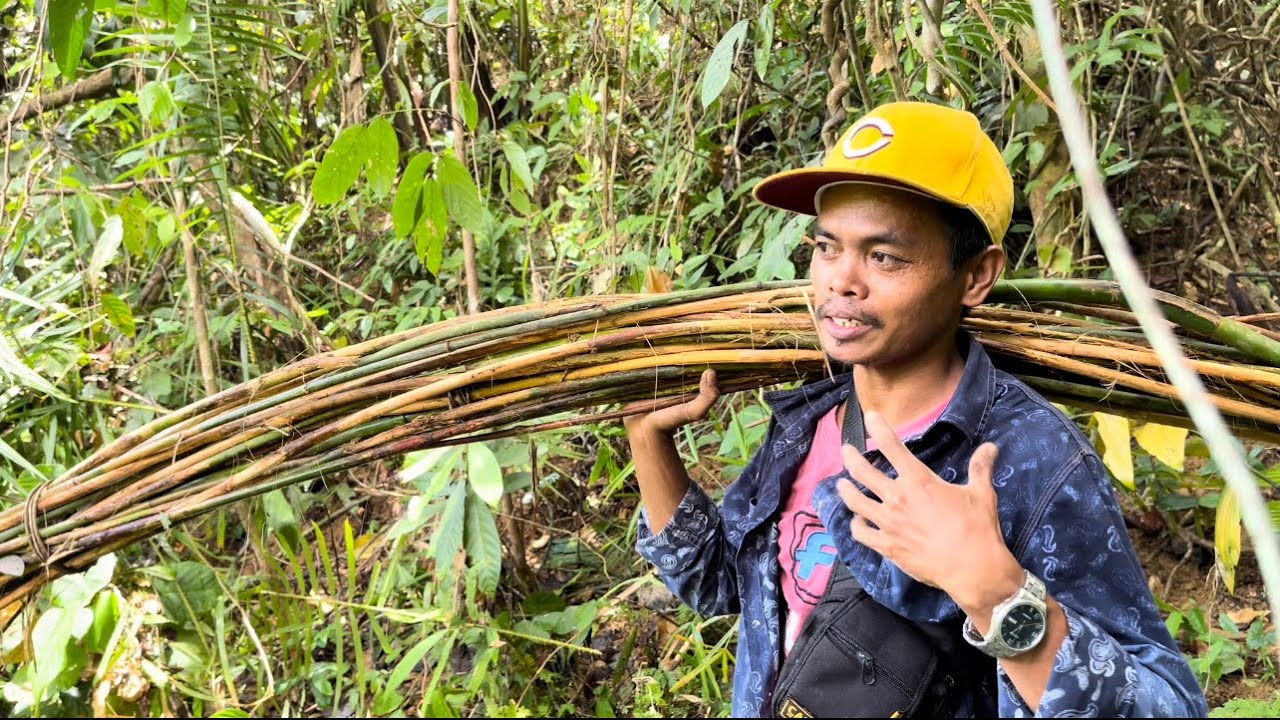 YANTOK/RATAN/UWAY/(Gaano nga ba kahirap kunin sa gubat?)