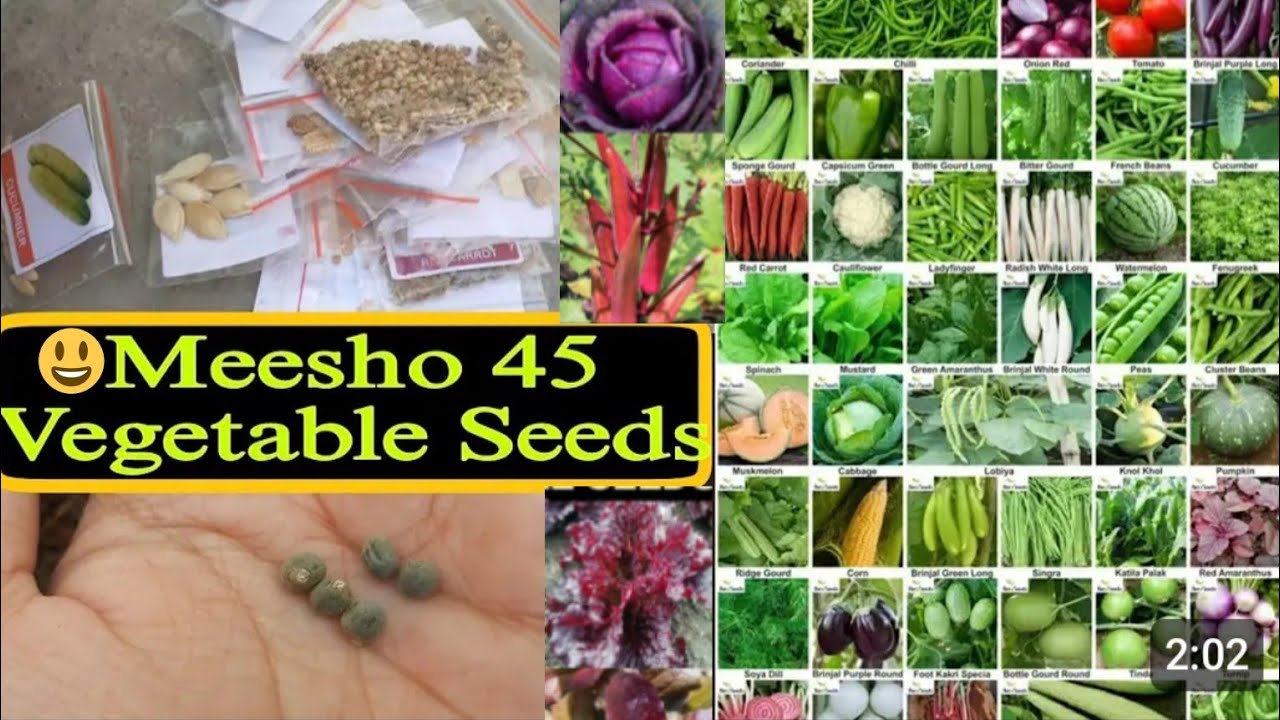 45 vegetable seeds by Meesho | vegetable seeds online shopping | Unboxing Meesho 45 variety seeds 😱