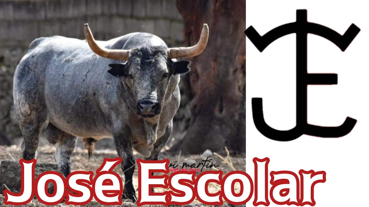 visitando la finca de José Escolar