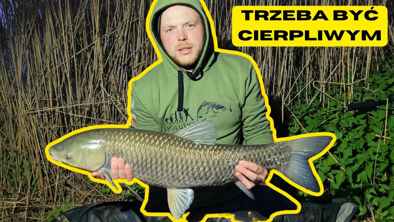 Majowa wyprawa wędkarska, No Kill Lewin Brzeski