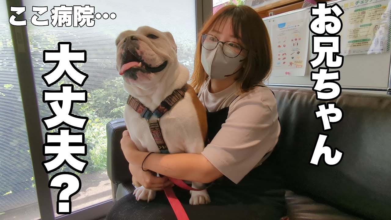 ぶるまるの様子が変なので病院で身体検査してもらいました…