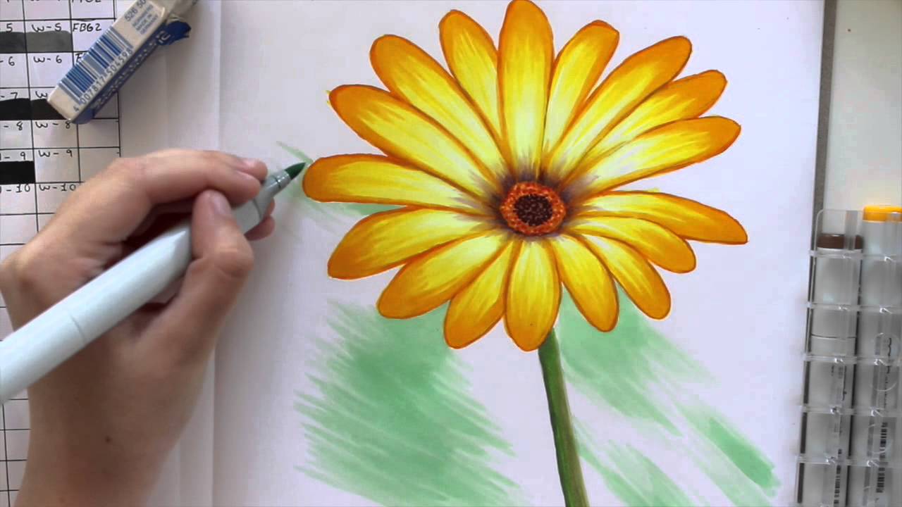 Coloring A Daisy flower (With Copic Markers)