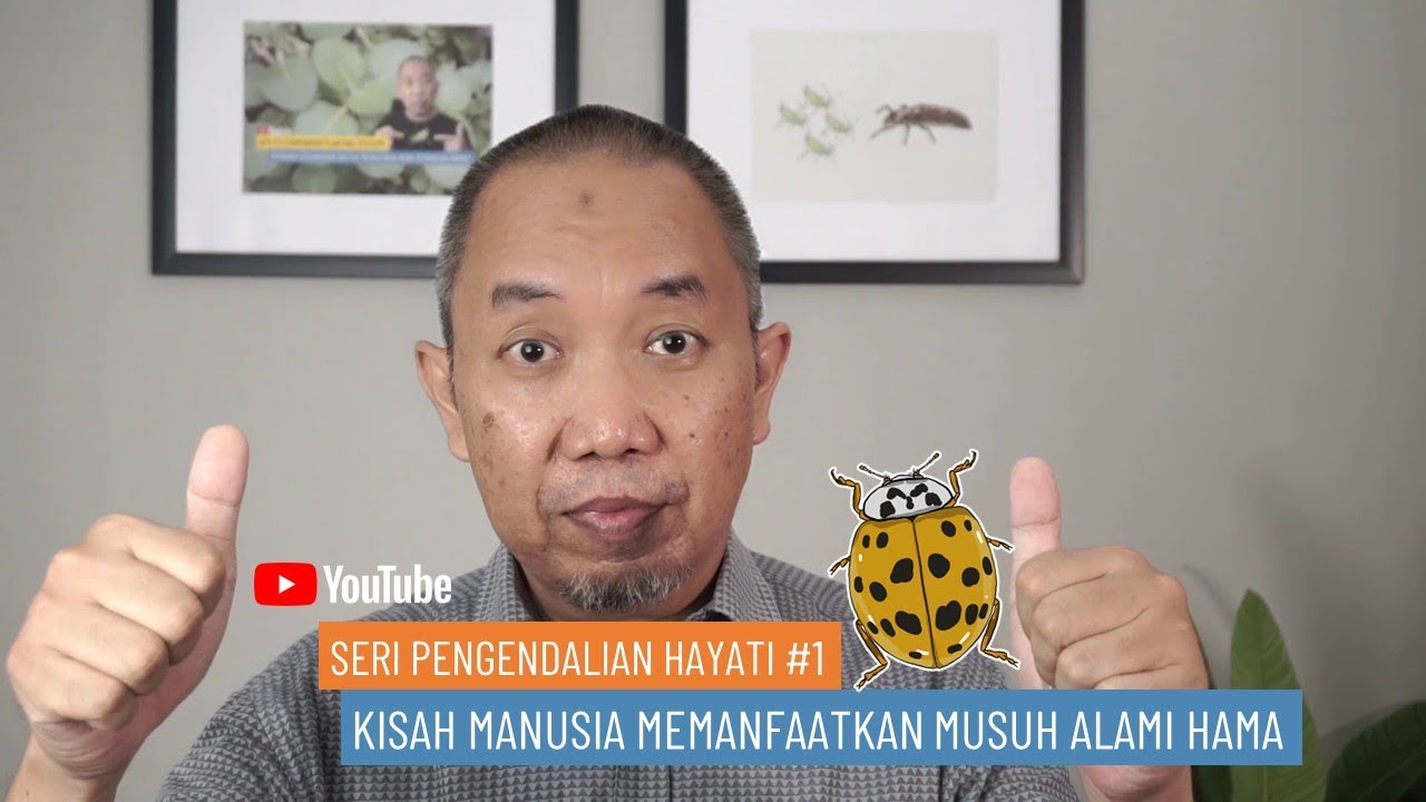 Bagaimana Manusia Memanfaatkan Musuh Alami?