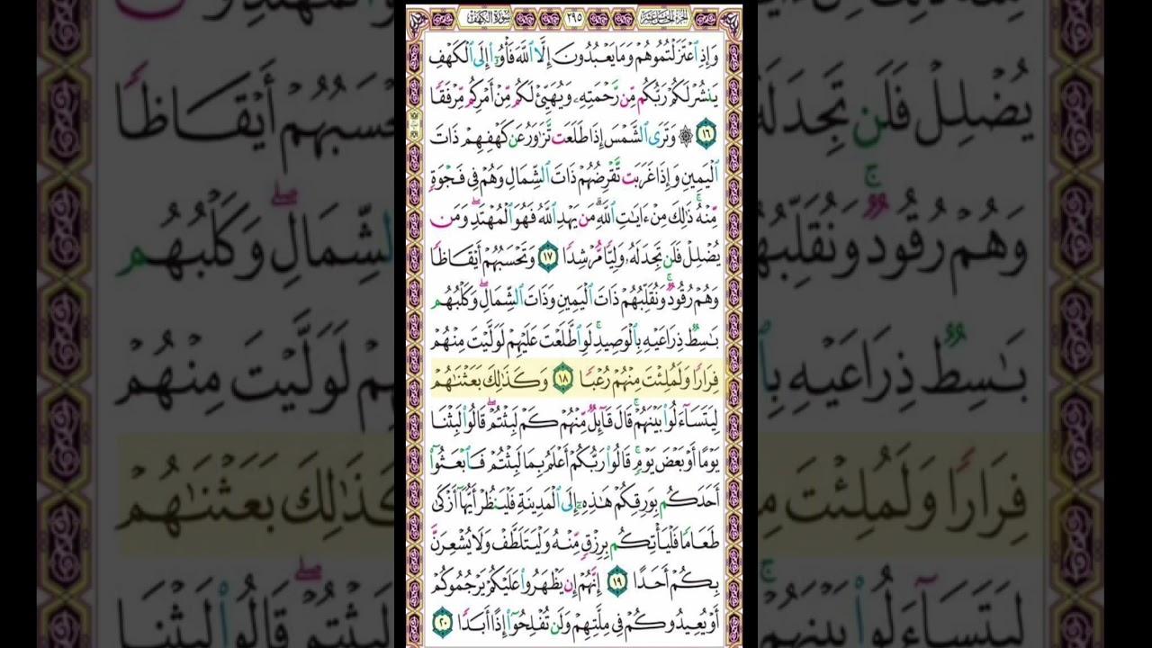 صفحة 295 من القرآن الكريم بصوت القارئ الشيخ ميثم التمار