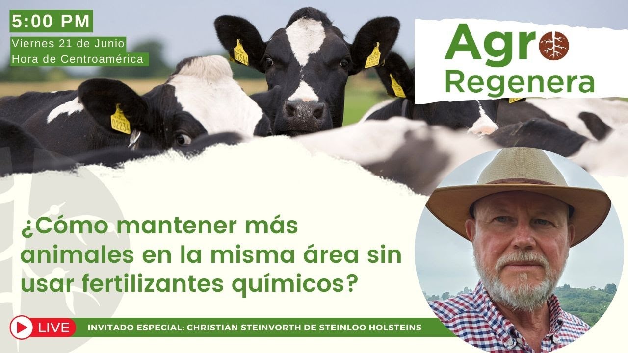 ¿Cómo tener más animales en la misma área sin usar fertilizantes químicos?