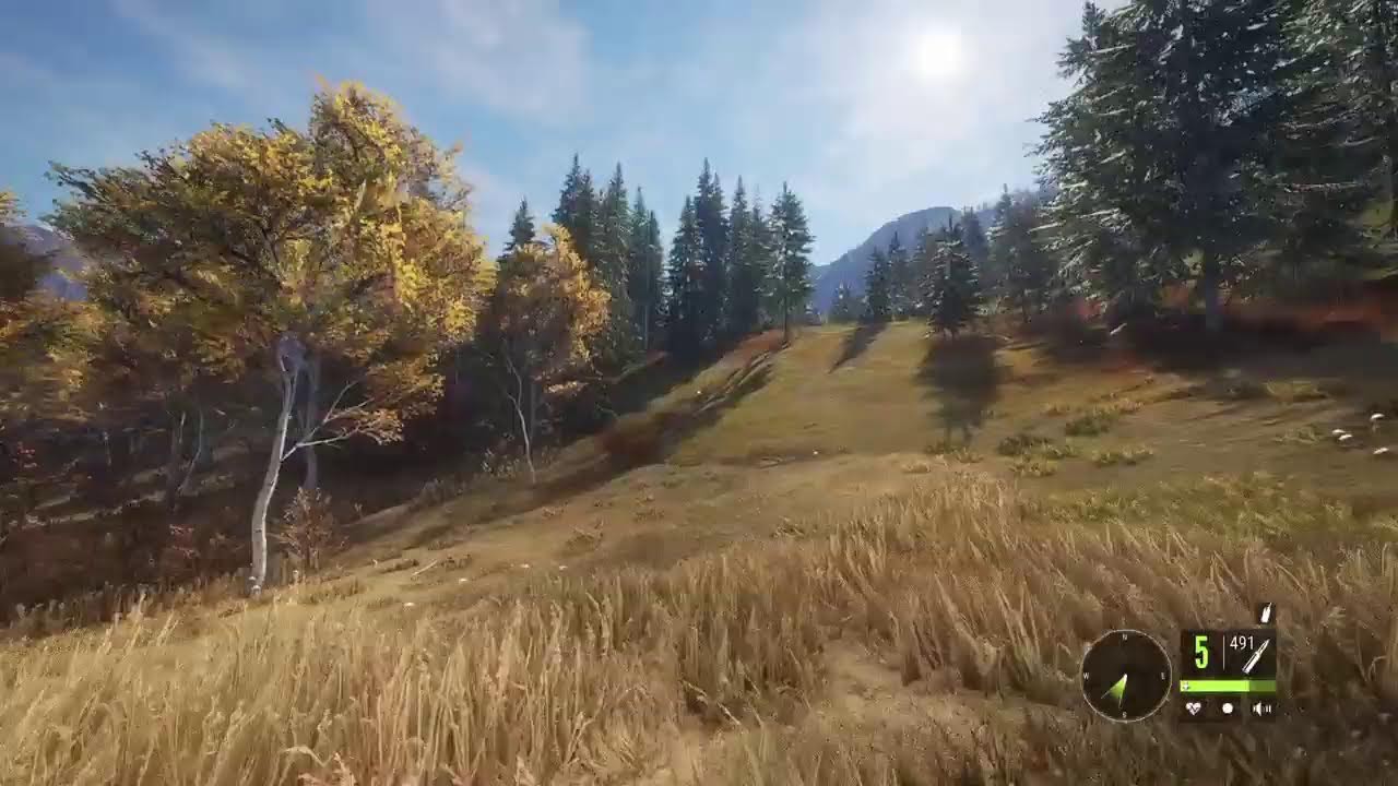 Bow Hunting?!