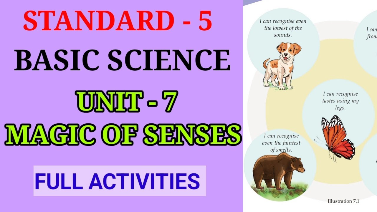 MAGIC OF SENSES STD 5 BASIC SCIENCE UNIT 7 | MAGIC OF SENSES CLASS 5 BS CHAPTER 7 FULL ACTIVITIES 