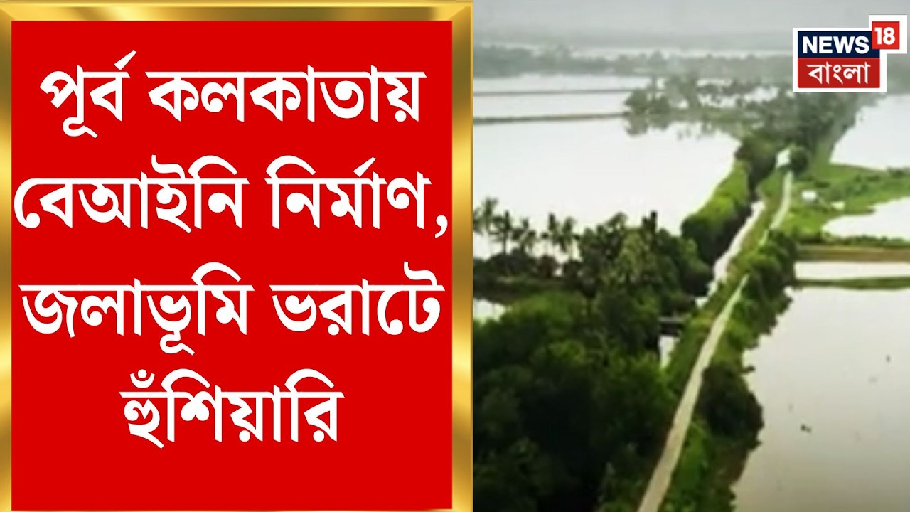 Kolkata Wetland | পূর্ব কলকাতার জলাভূমি বুজিয়ে বেআইনি নির্মাণ, হুঁশিয়ারি হাইকোর্টের | Bangla News