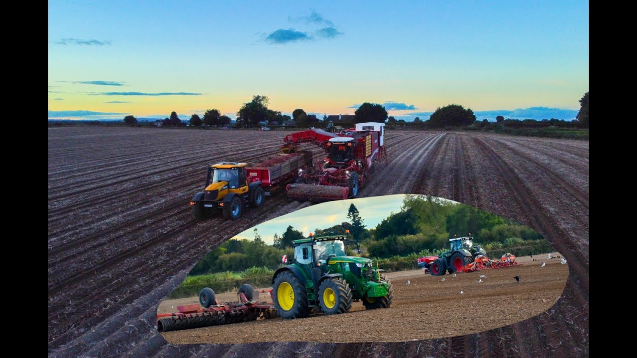 LABURNUM FARMS- Digging spuds, sowing and rolling season 2024