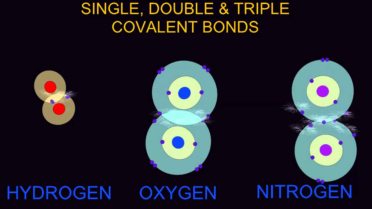 SINGLE, DOUBLE, & TRIPLE COVALENT BONDS