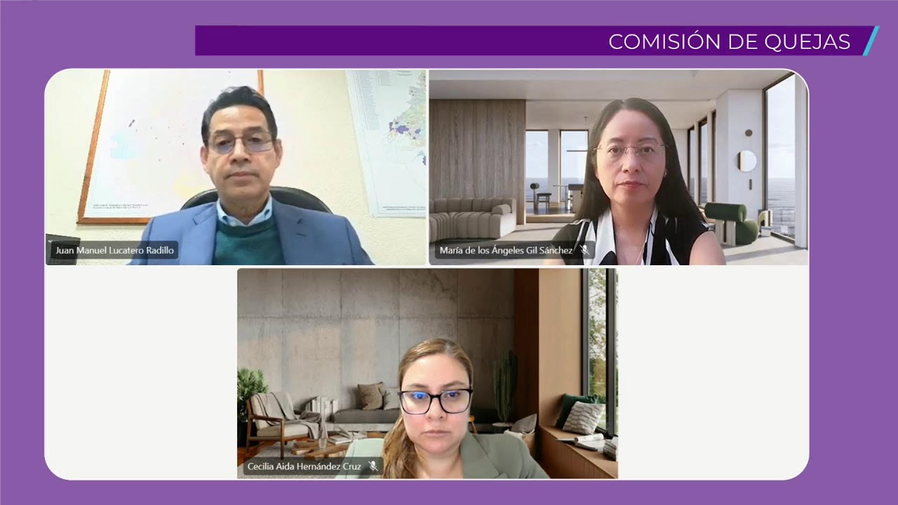 Octava Sesión Urgente de la Comisión Permanente de Quejas del Consejo General