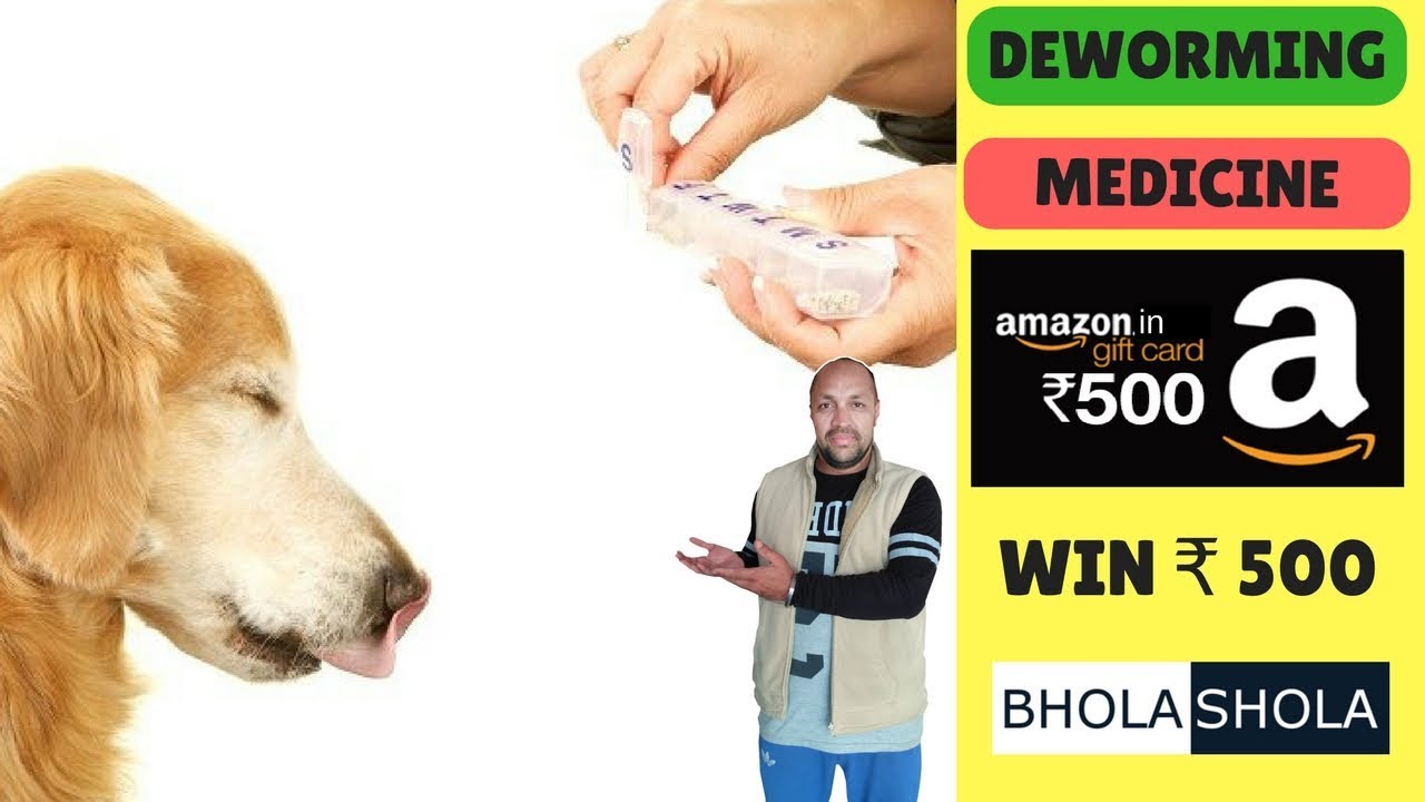 Deworming | Deworm | Dog | Puppy | Medicine - Bhola Shola | Harwinder Singh Grewal