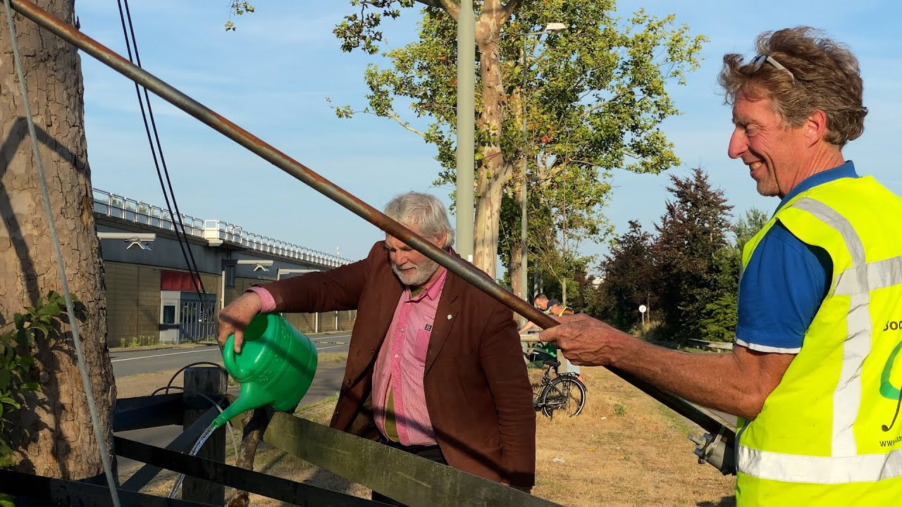 Bomen krijgen te drinken: ‘Je moet ze water geven om ze te redden, is dat nou zo moeilijk?’